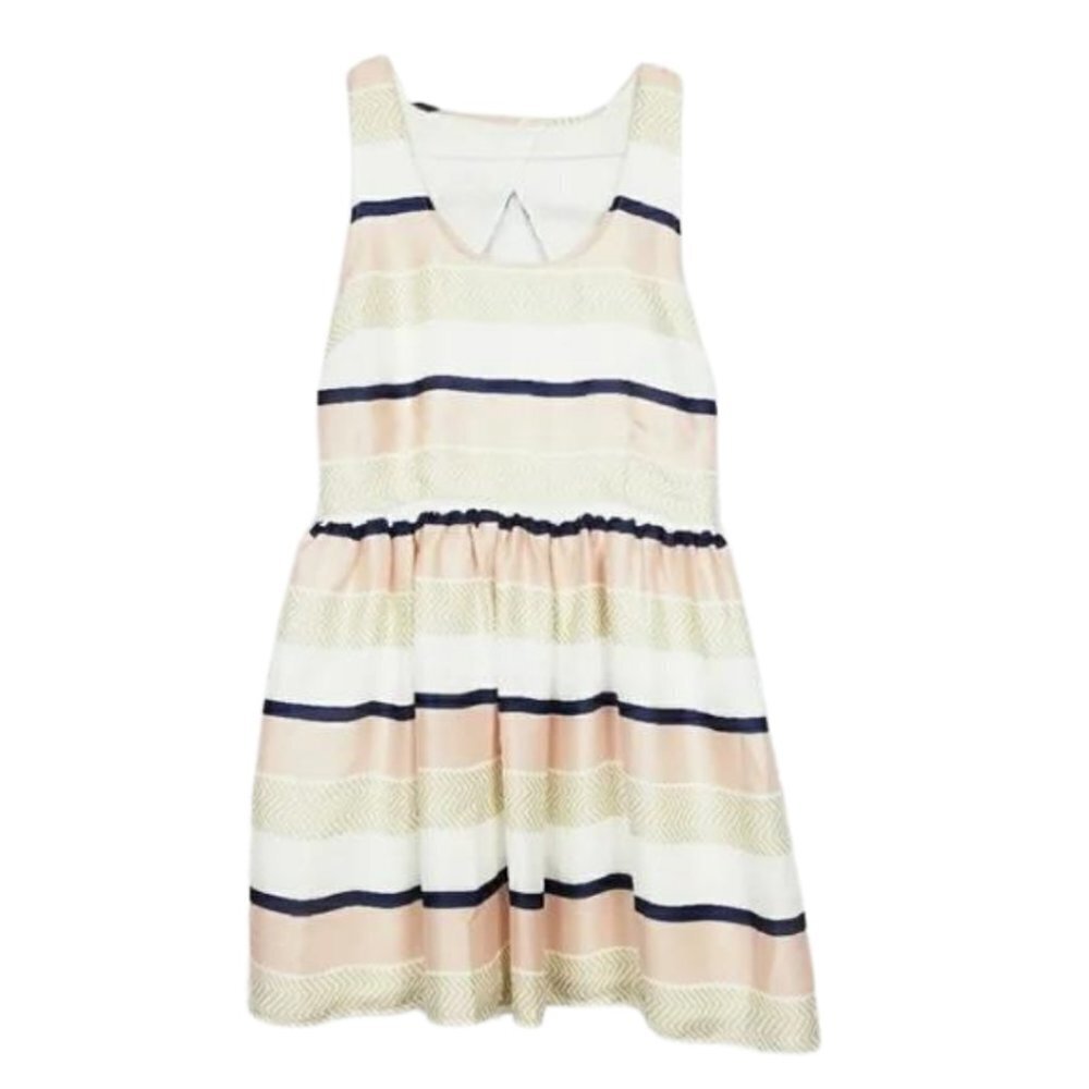 BB Dakota Blush Striped A-Line Dress
